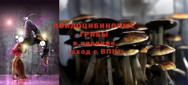 2c-b Заполярный