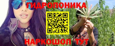 эйфоретик Аргун