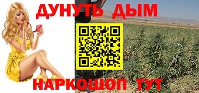 эйфоретик Аргун