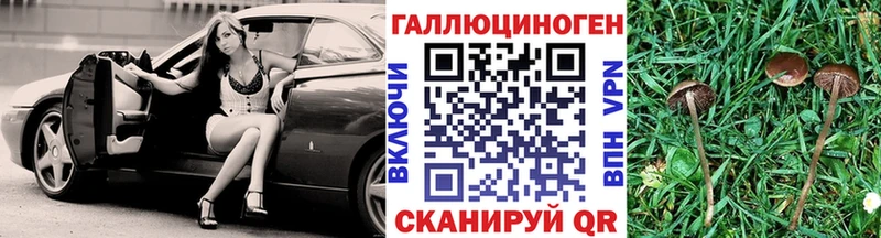 Псилоцибиновые грибы мухоморы Муром