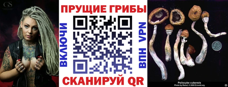 Галлюциногенные грибы GOLDEN TEACHER  kraken как войти  дарк нет формула  Муром 