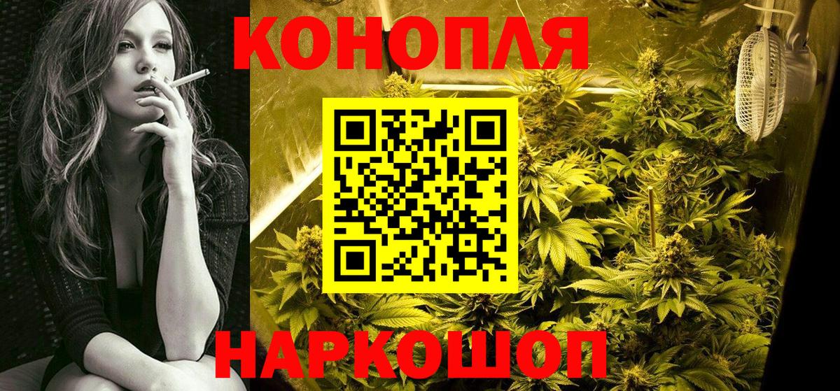 Бошки Шишки индика Муром